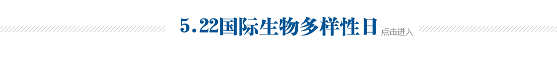 5.22国际生物多样日