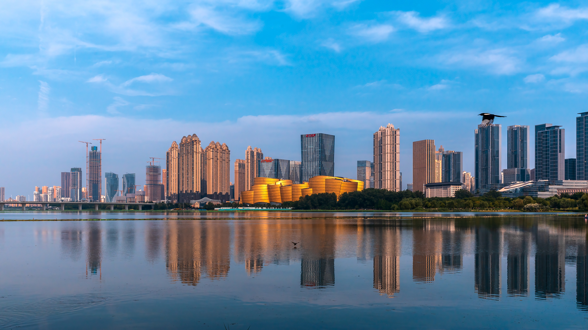 沙湖之夏-武汉市生态环境局