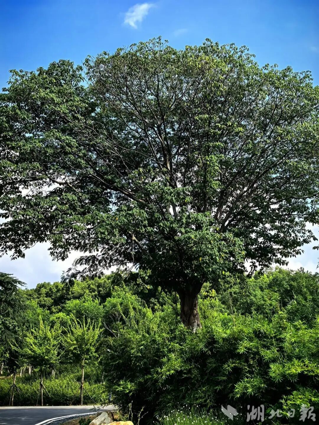 640.jpg